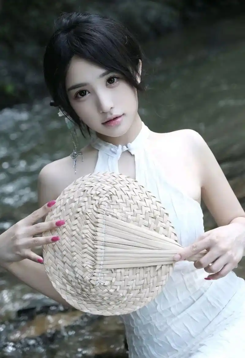 长风渡海热播电视剧全集